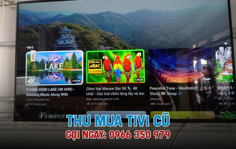 B&aacute;n tivi cũ