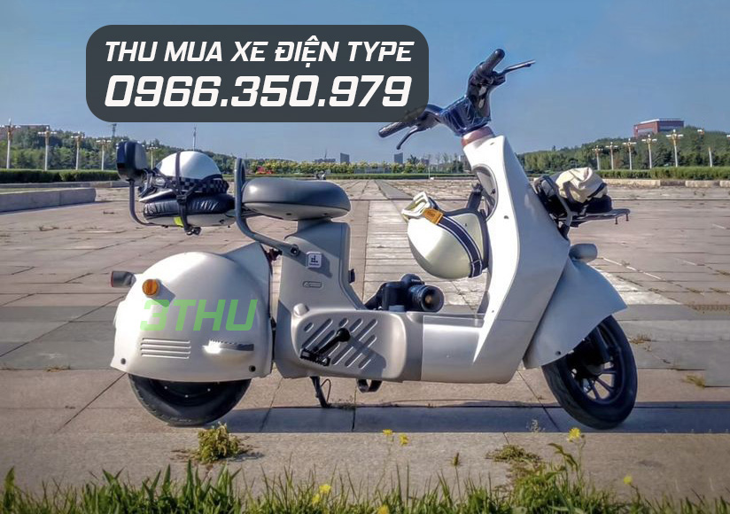 B&aacute;n xe điện Type 1, 2,3