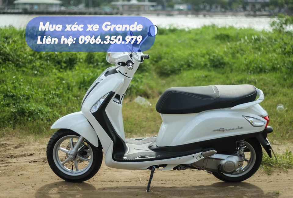 Thu mua xe m&aacute;y Grande