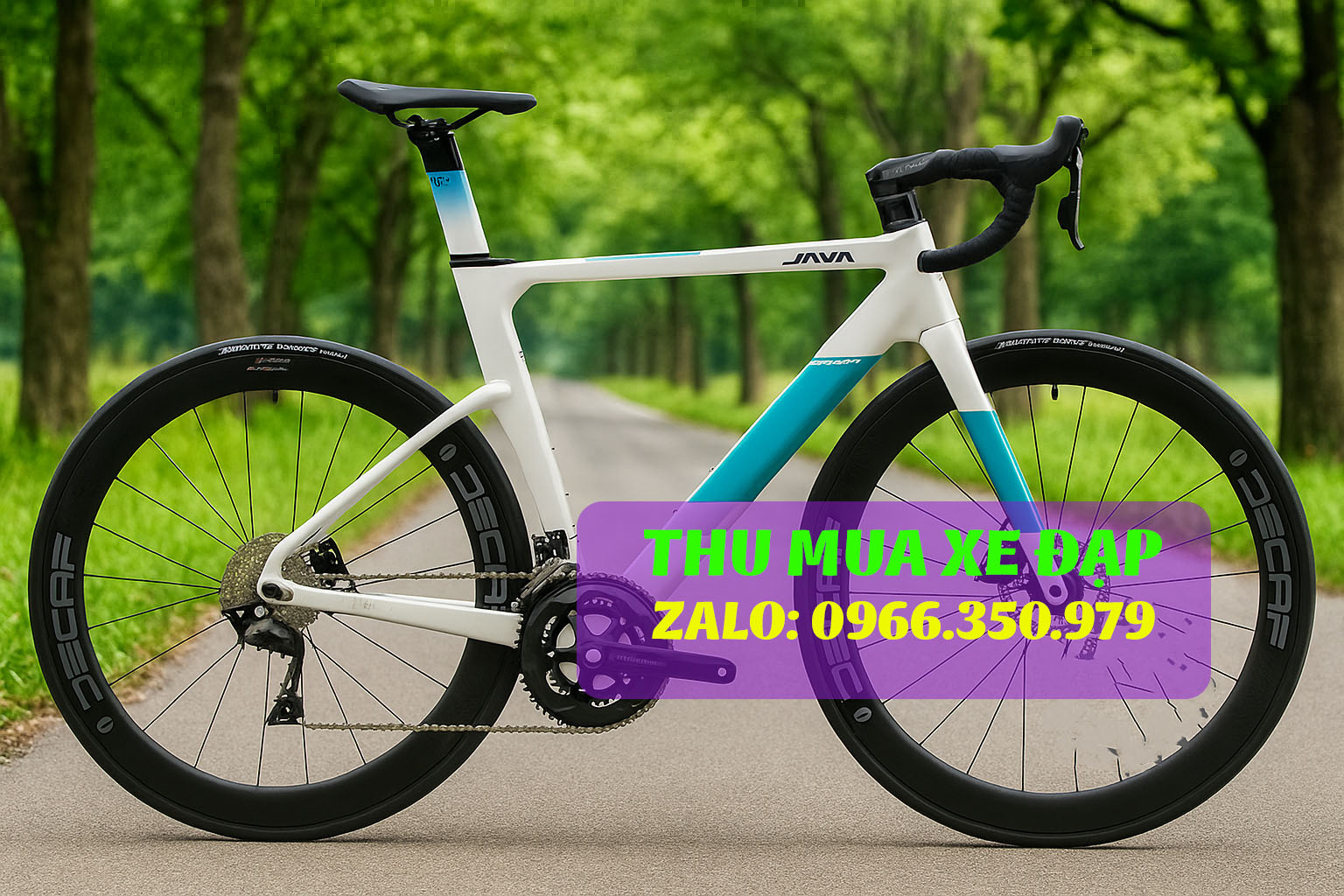 Thu mua xe đạp cao cấp
