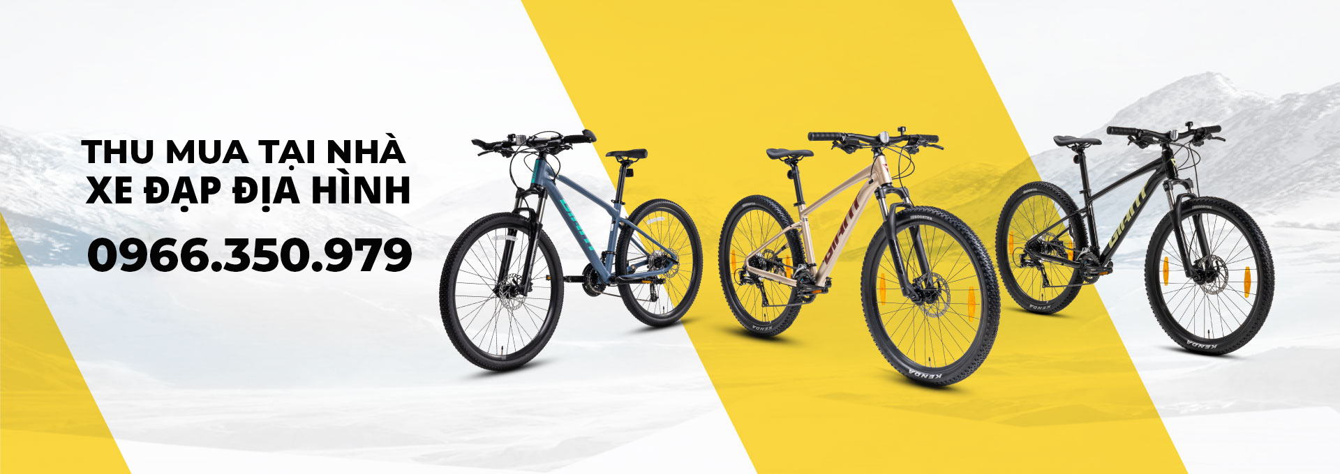 Thu mua xe đạp địa h&igrave;nh 